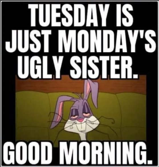 monday tuesday majorgeeks.jpg